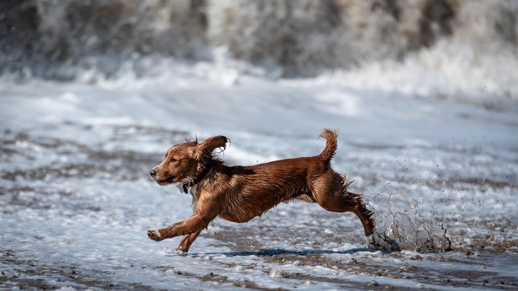 Exercise & Activity Needs icon