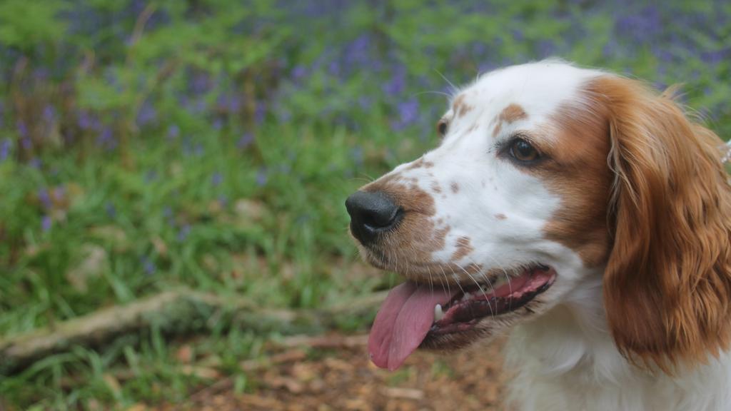 Life Stage Considerations icon