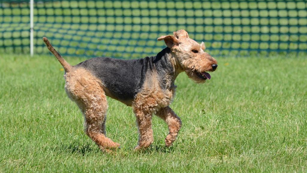 Living Environment Adaptability icon