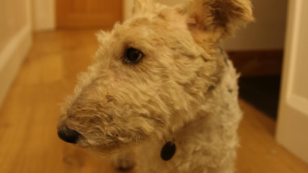 Exercise & Activity Needs icon