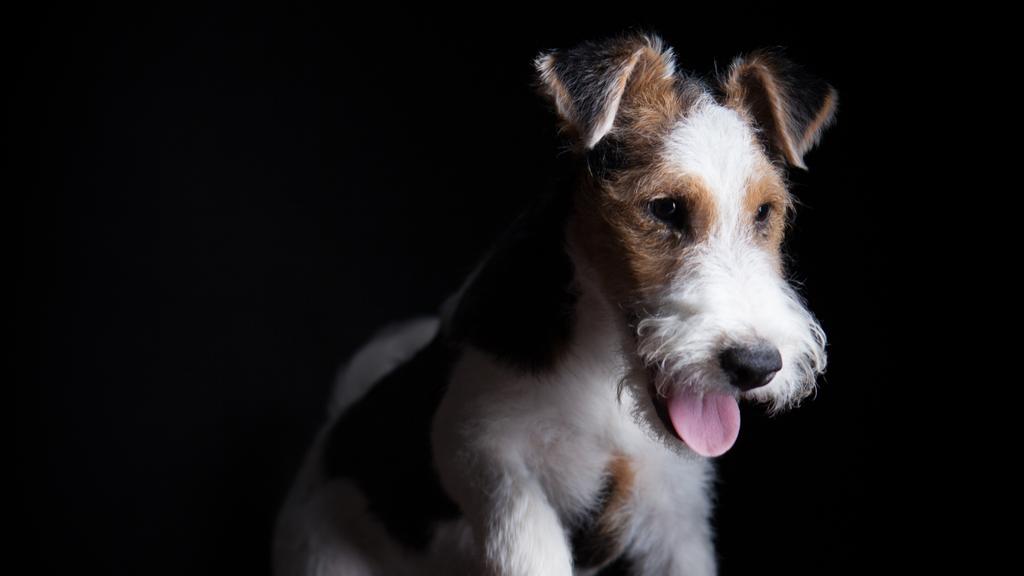 Long-Term Commitment & Special Considerations icon