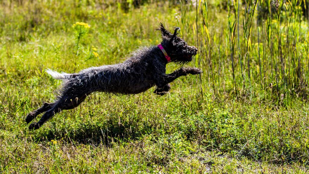 Long-Term Commitment & Special Considerations icon