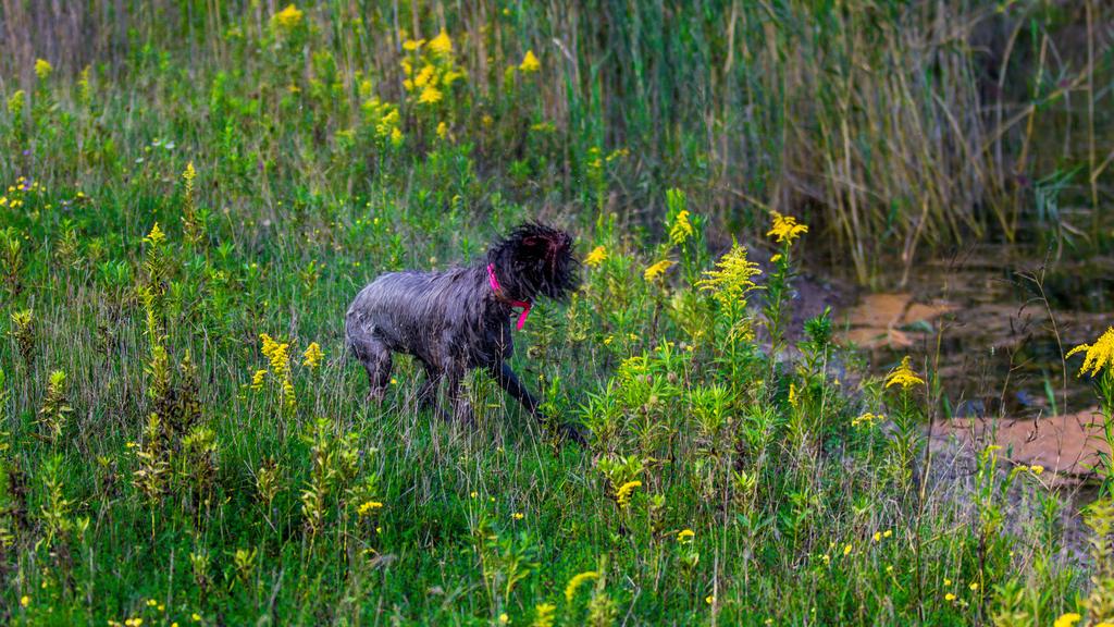 Living Environment Adaptability icon