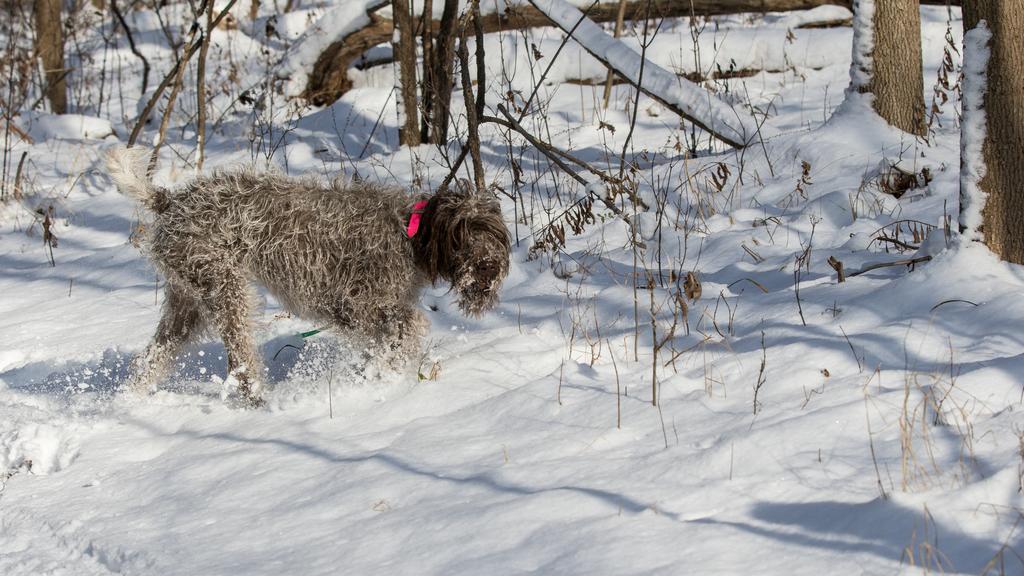 Financial Considerations icon