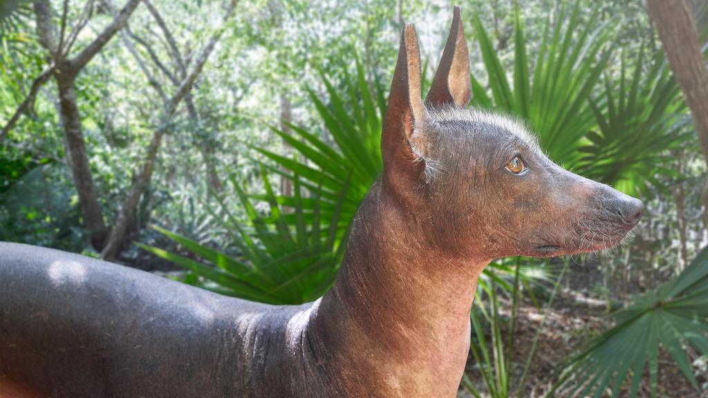 Financial Considerations icon