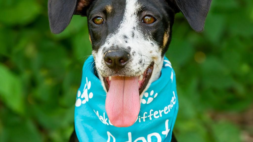 Photo of Heaven’s Corner Zoo & Animal Sanctuary