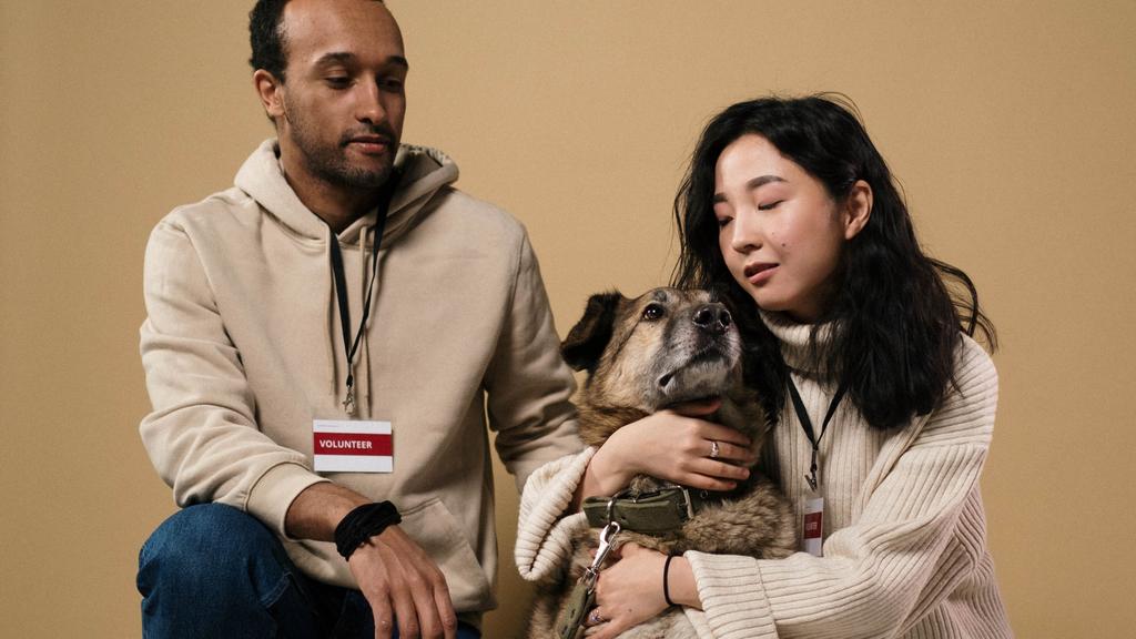 Photo of Athens County Dog Shelter