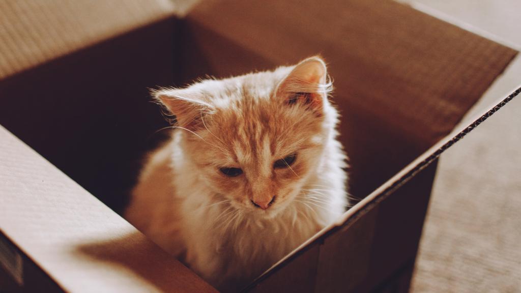 Scott County Humane Society