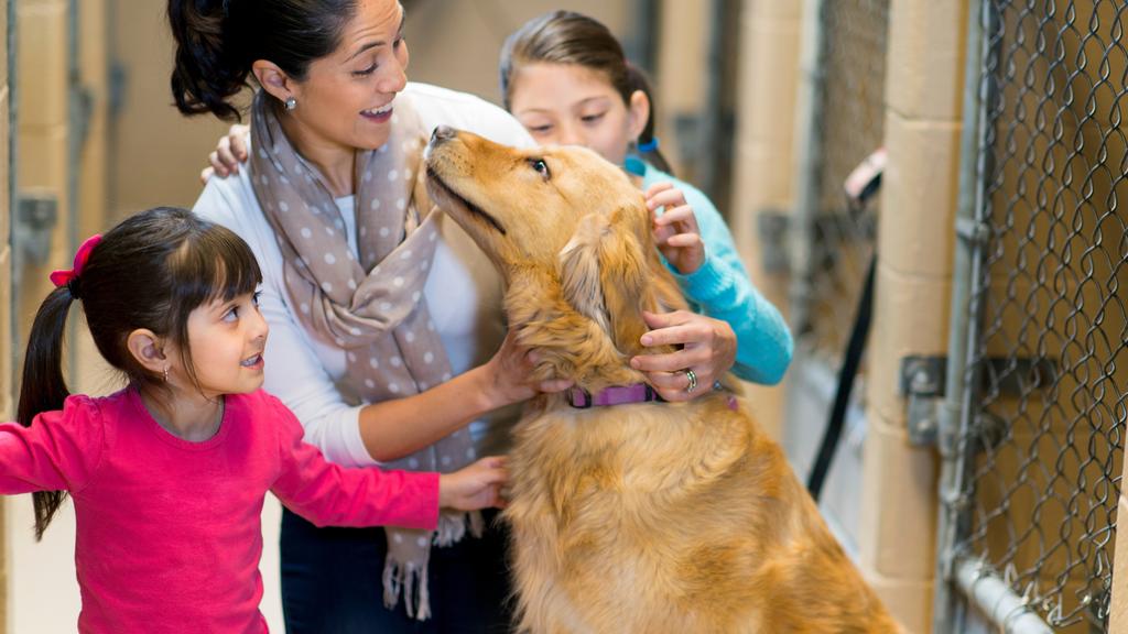 Photo of Kenton County Animal Services