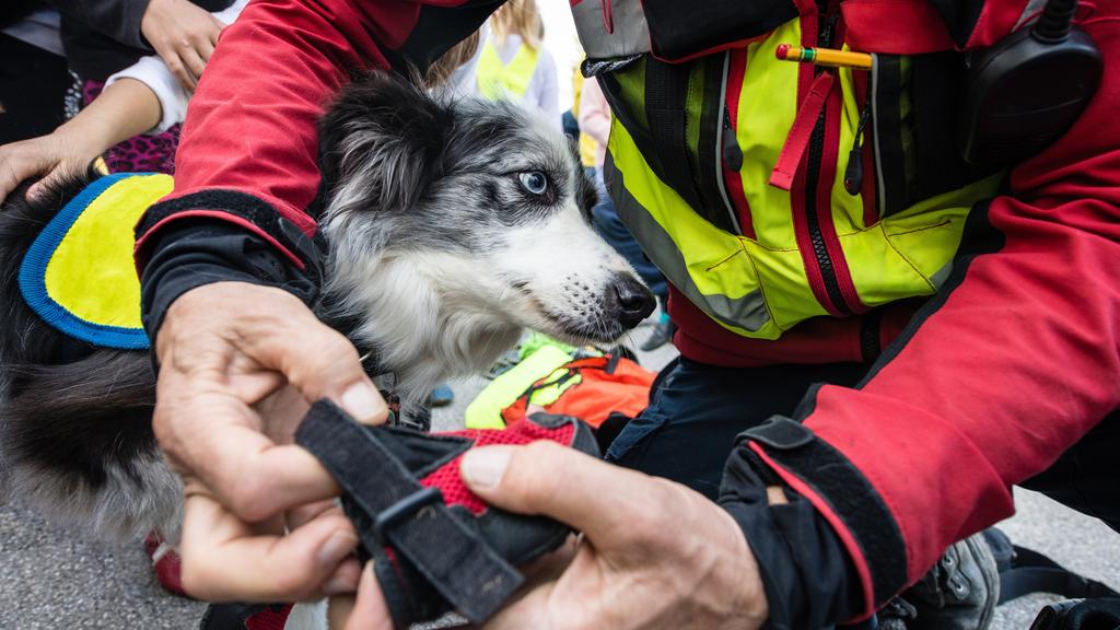 The Ohio Pet Sanctuary