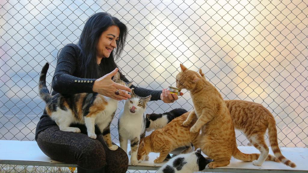 Out of The Cold Foster Home