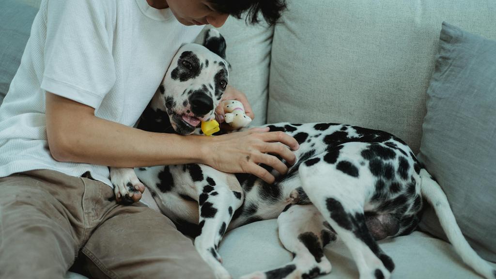 Photo of Summit County Animal Control