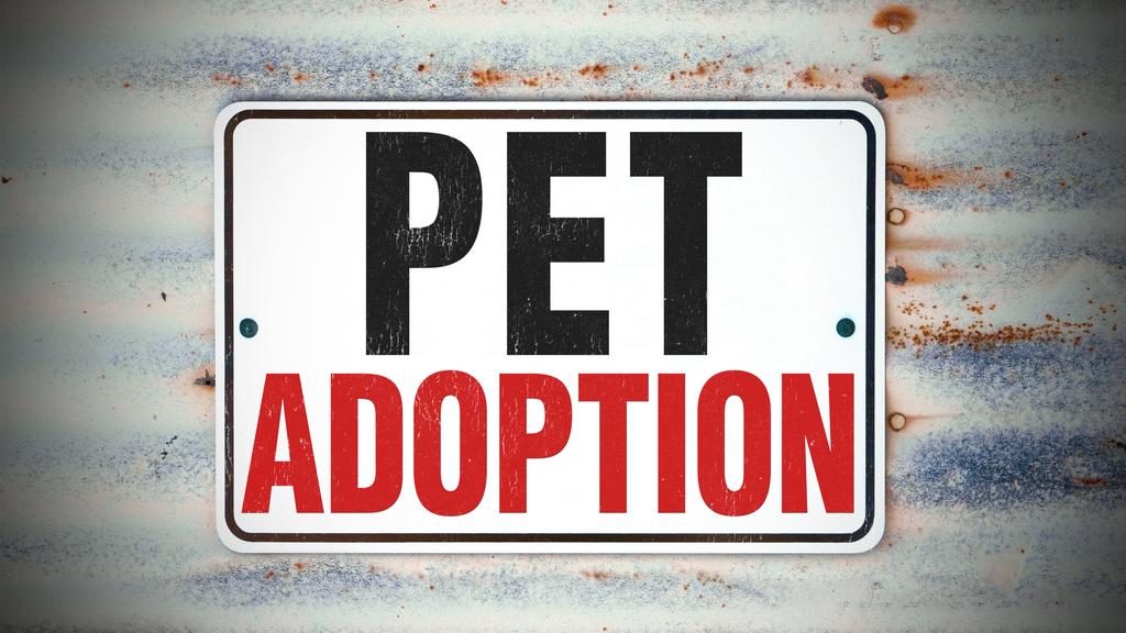 Heaven’s Corner Zoo & Animal Sanctuary