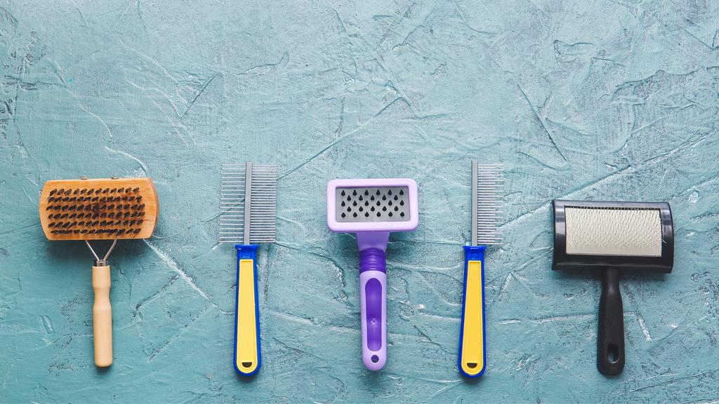 Photo of Shear Pawfection