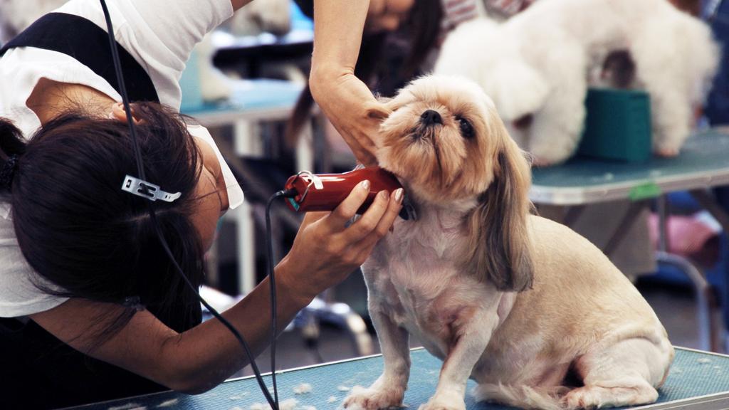 Poochie Bath & Boutique