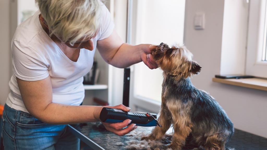 Photo of Scruba-Dub Pet Wash