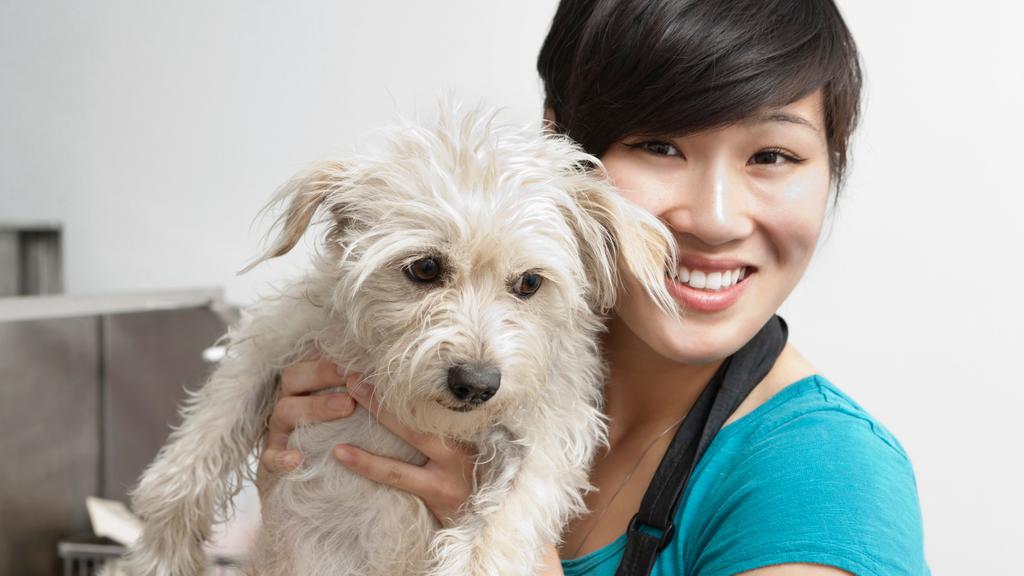 Photo of Just A Cut Above The Rest