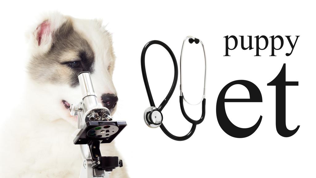 Photo of MedVet Urgent Care (Animals)