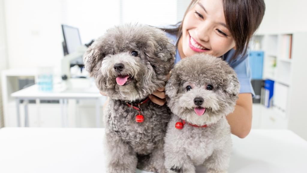 Random fallback image