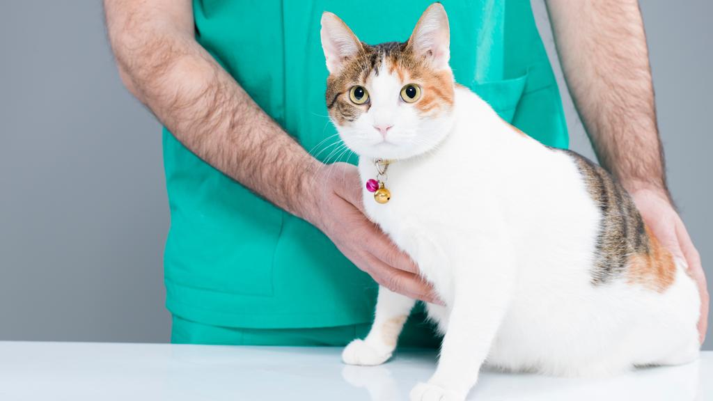 Random fallback image