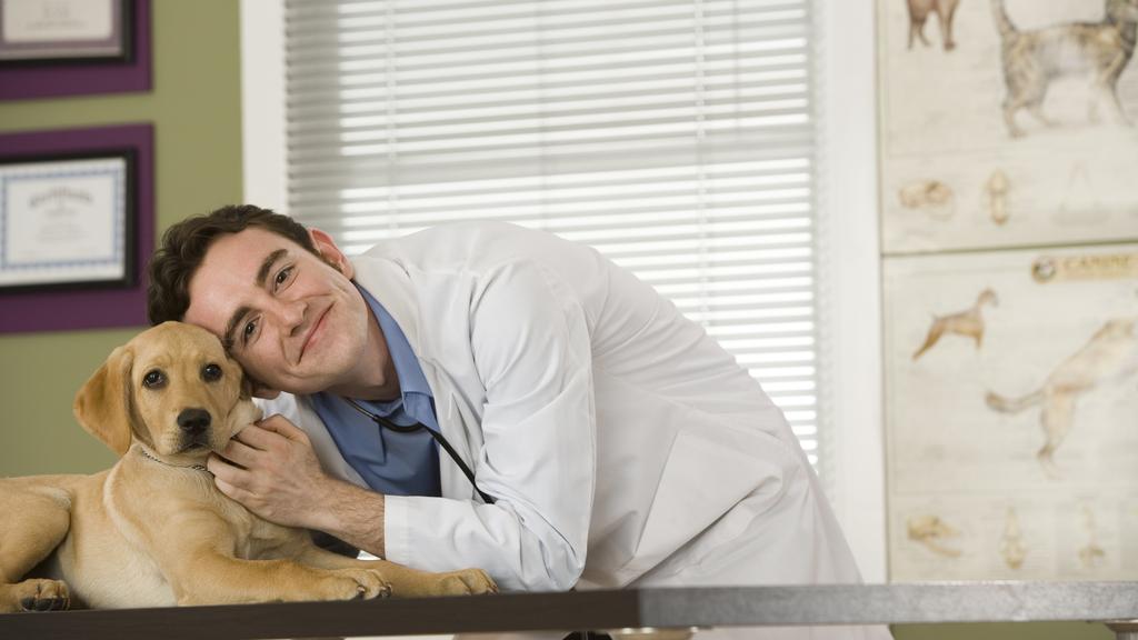 VCA Madeira Animal Hospital
