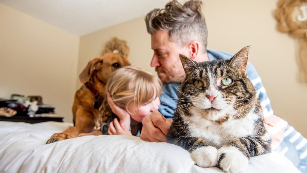 East Hills Veterinary Clinic