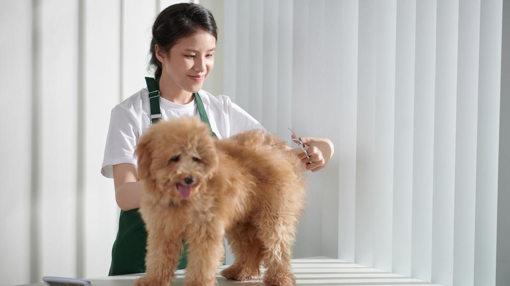 Columbus Veterinary Reviews