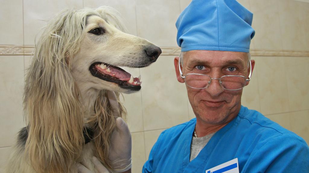 German Village Veterinary Hospital