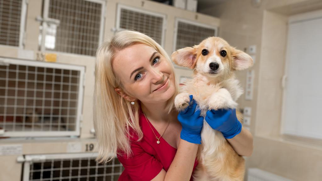 East Columbus Veterinary Hospital
