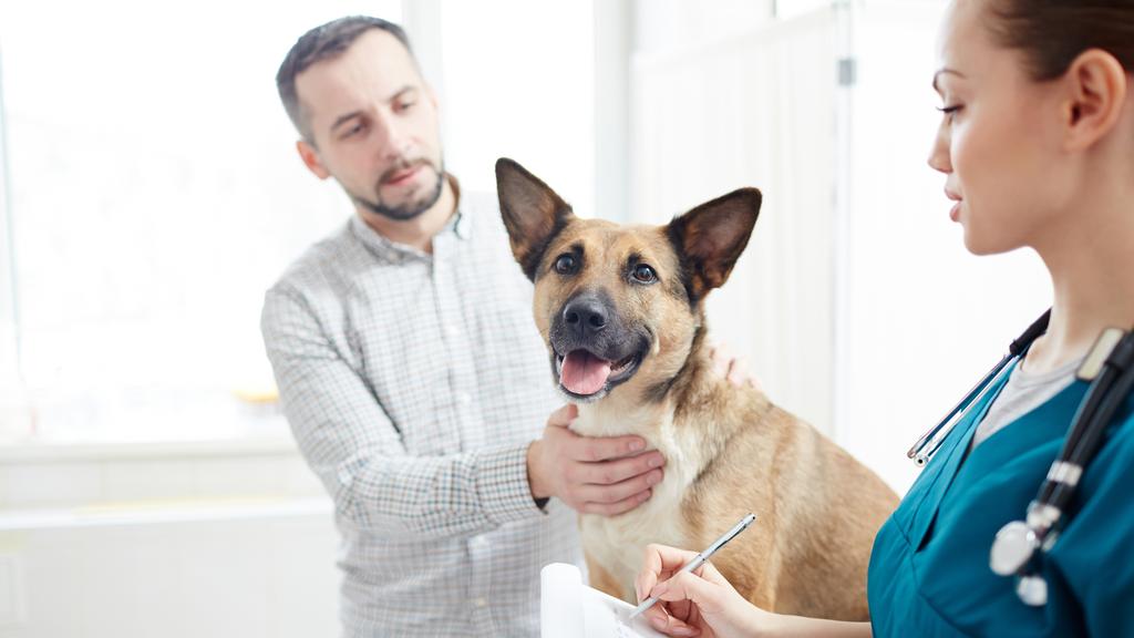 Stonecrest Animal Medical Center