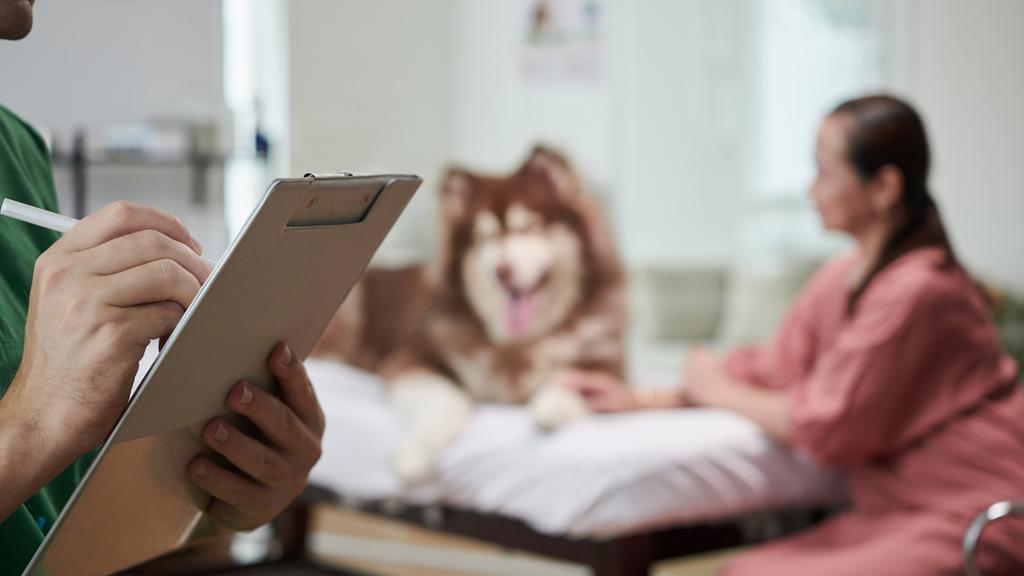 Health & Harmony Animal Hospital
