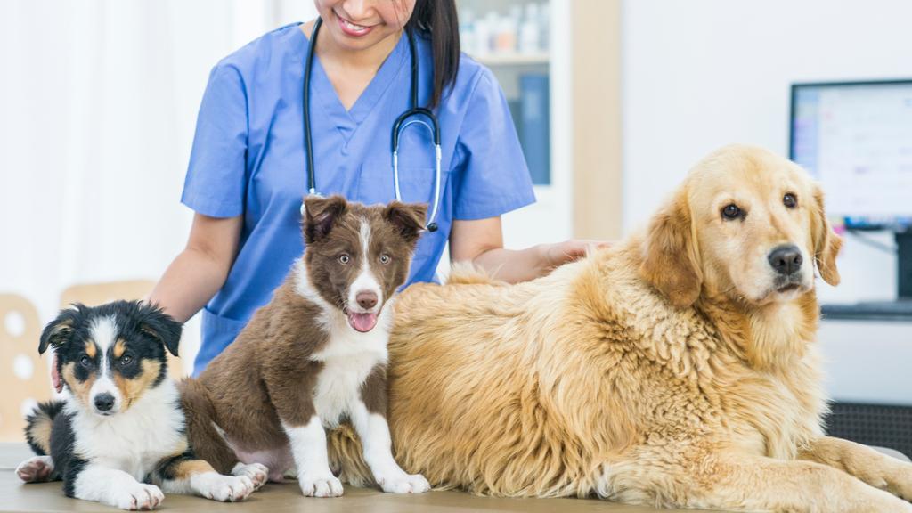 Random fallback image