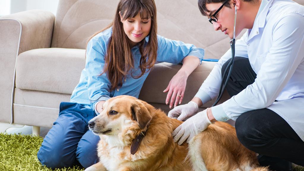 Richman Animal Clinic