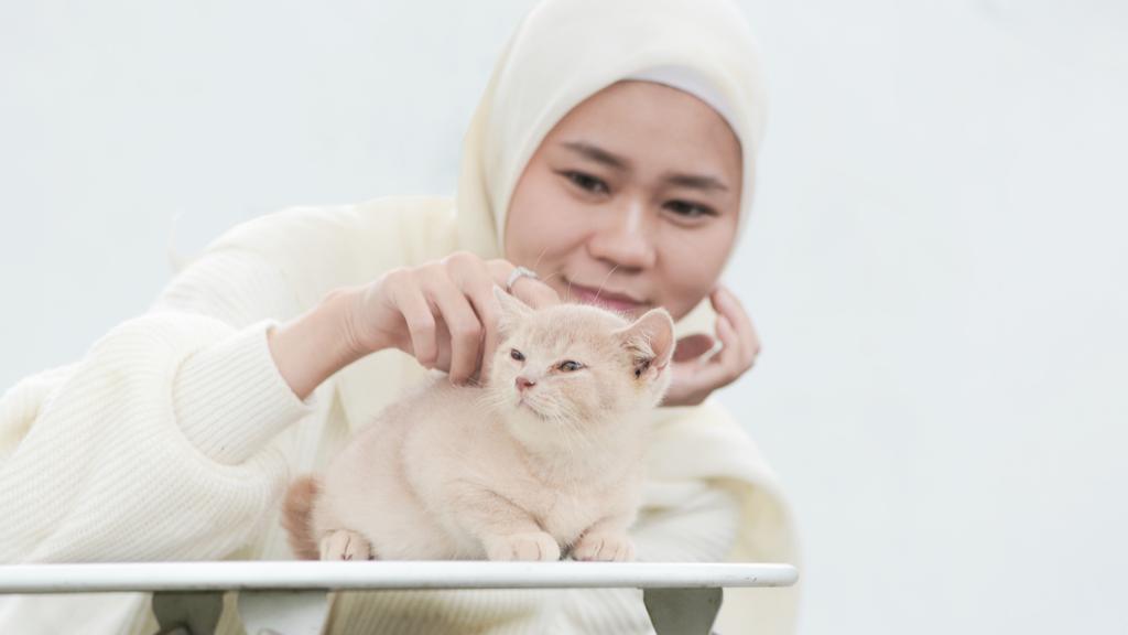 Random fallback image