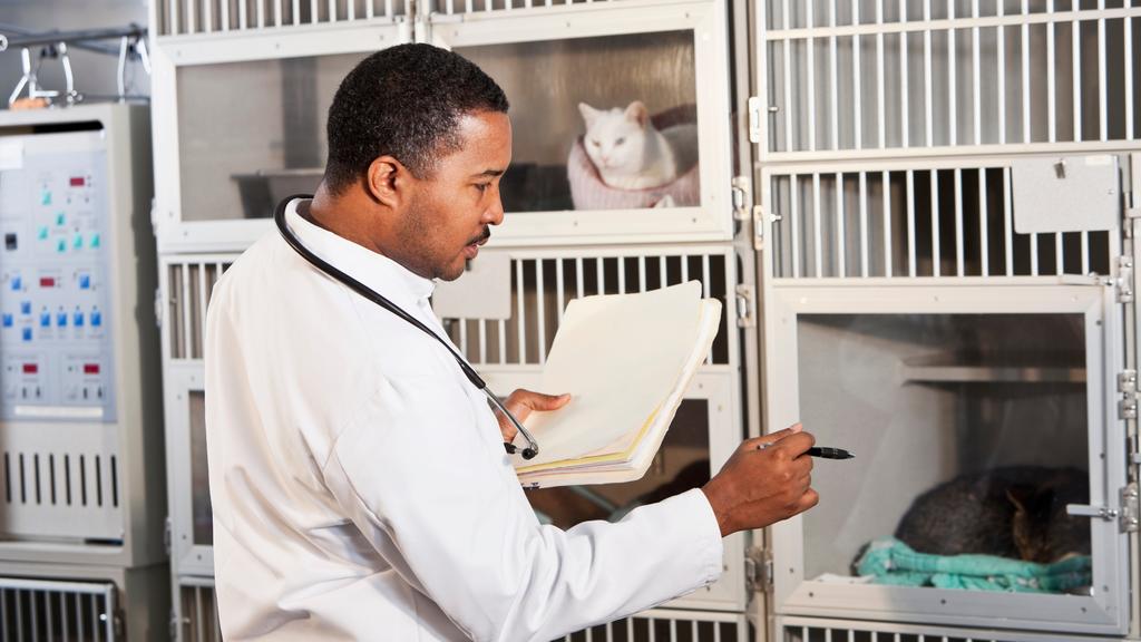 Columbus Veterinary Reviews