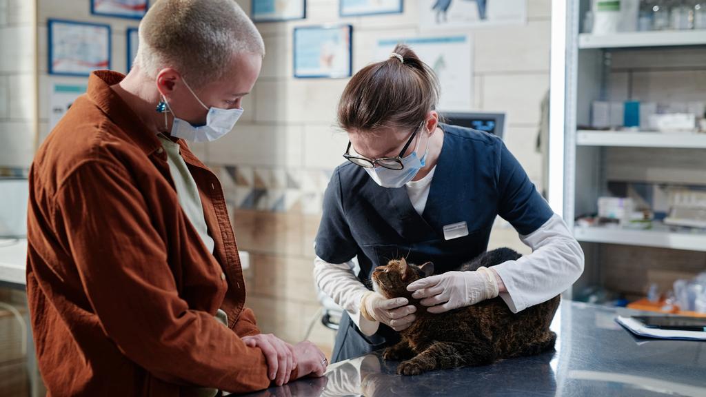 The Veterinary Relief Company