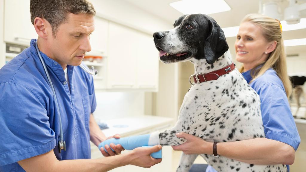 The Ohio State University Veterinary Medical Center