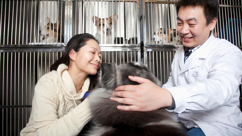 The Veterinary Relief Company