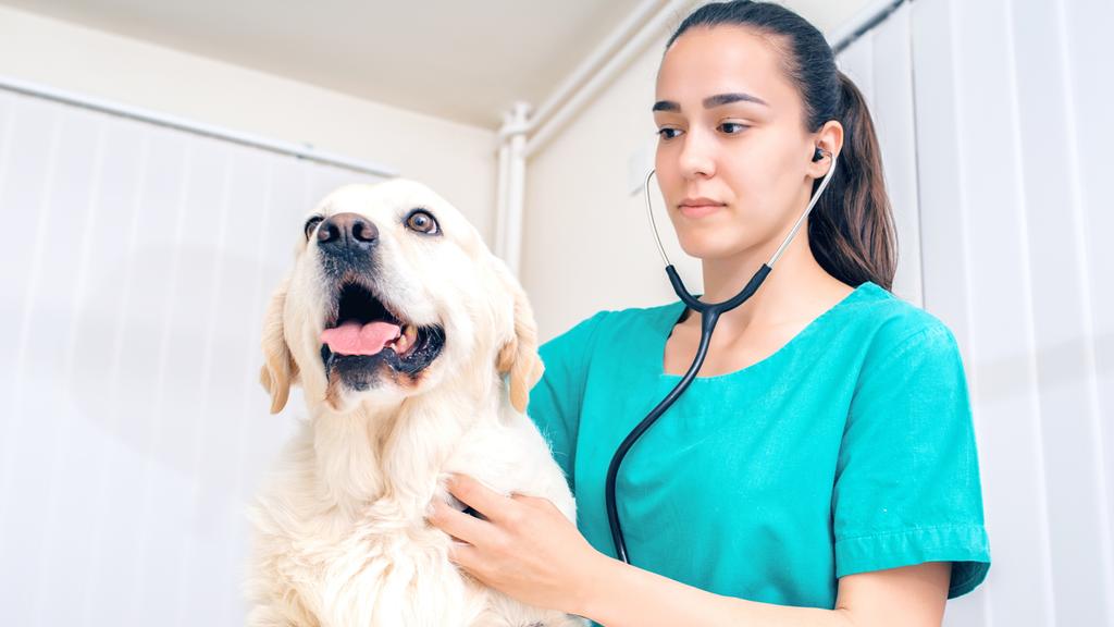 Banfield Pet Hospital