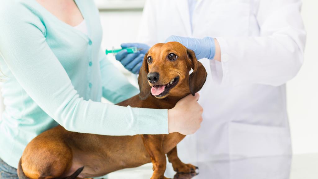 Fort Mitchell Veterinary Center