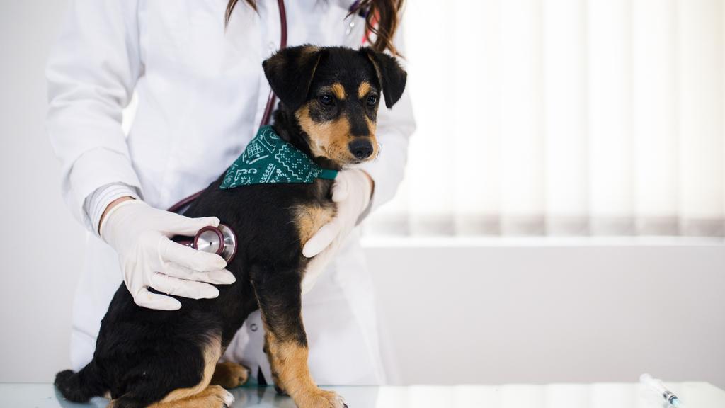 Columbus Humane