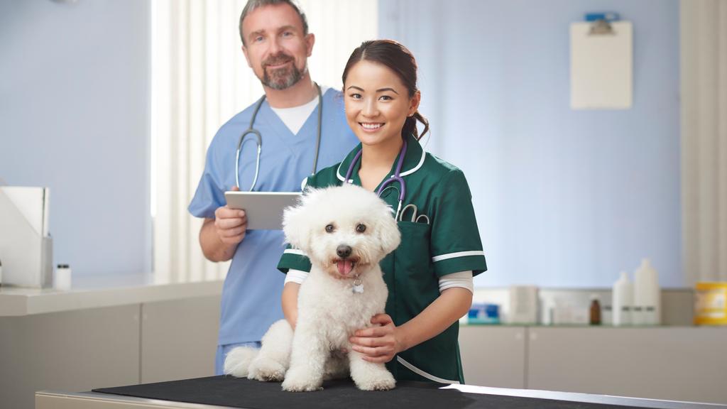 MedVet Hilliard