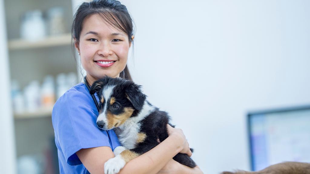 Ashland Animal Clinic: Fitch Chris DVM