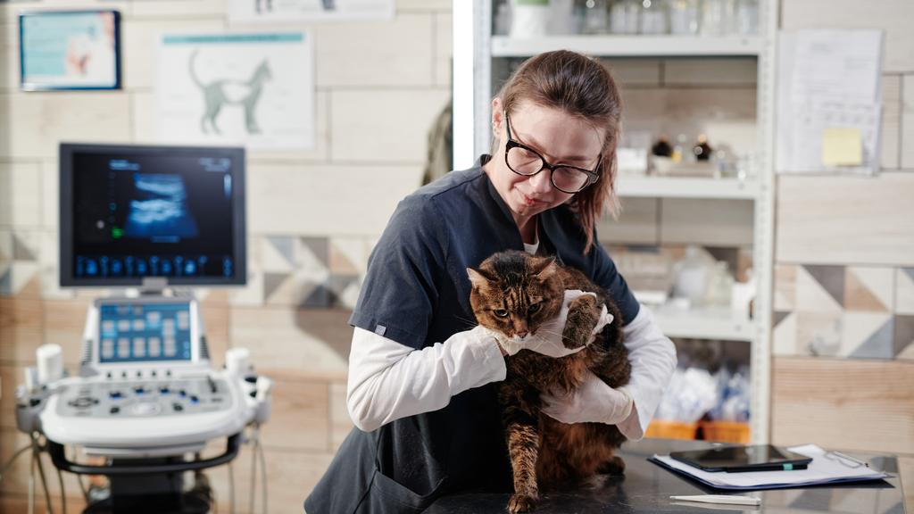 Georgesville Road Animal Hospital