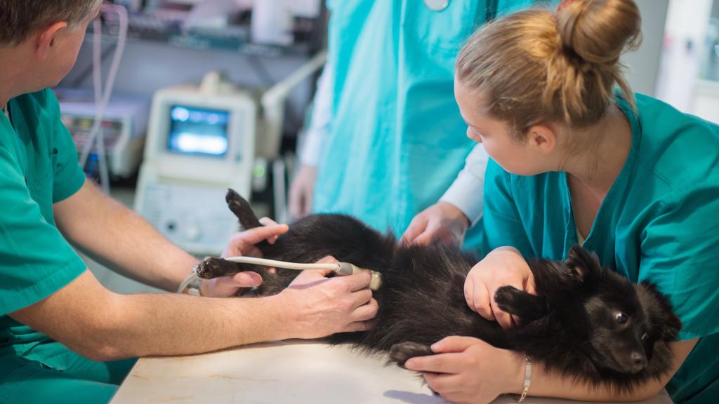 Random fallback image