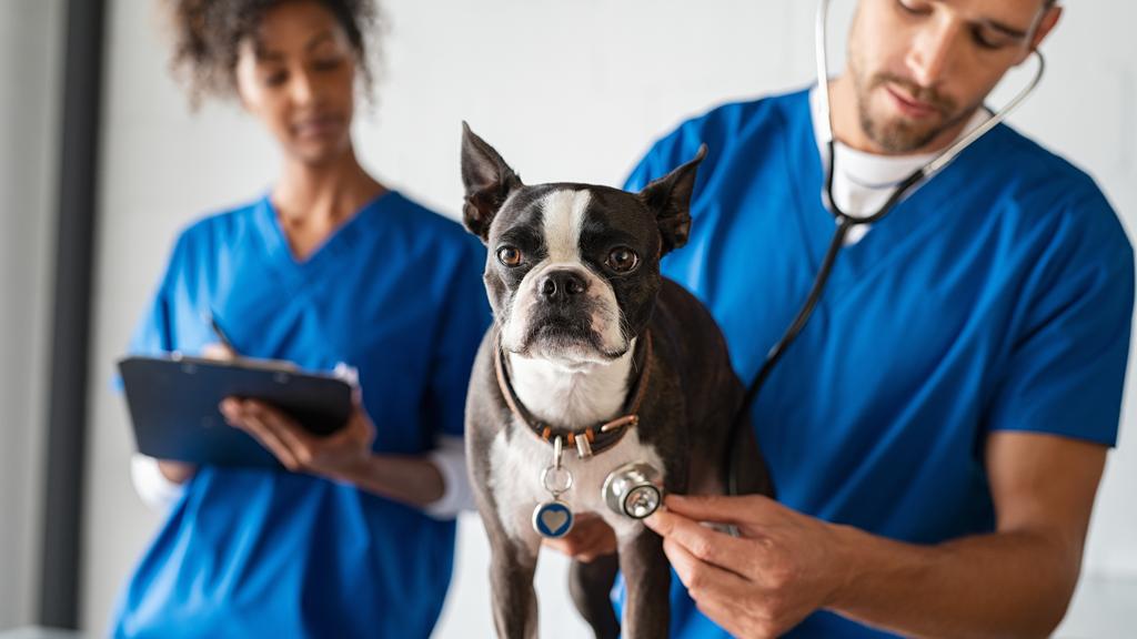 East Columbus Veterinary Hospital