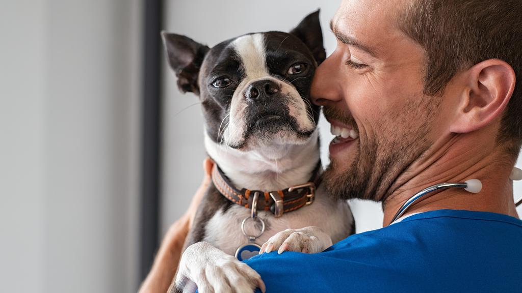 Georgesville Road Animal Hospital: Troyer Karol DVM