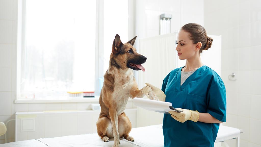 Grady Veterinary Hospital