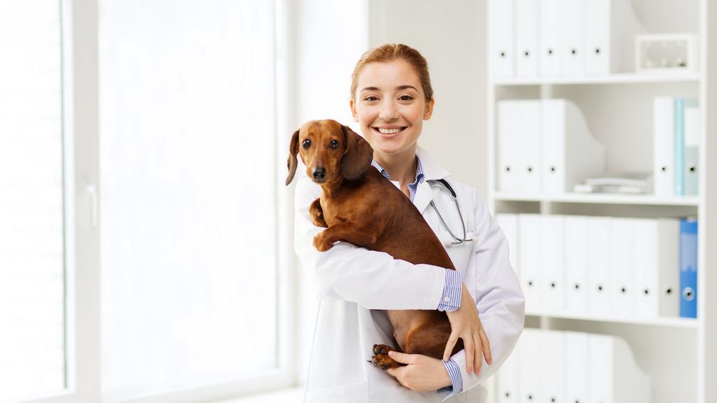 VCA Westerville East Animal Hospital