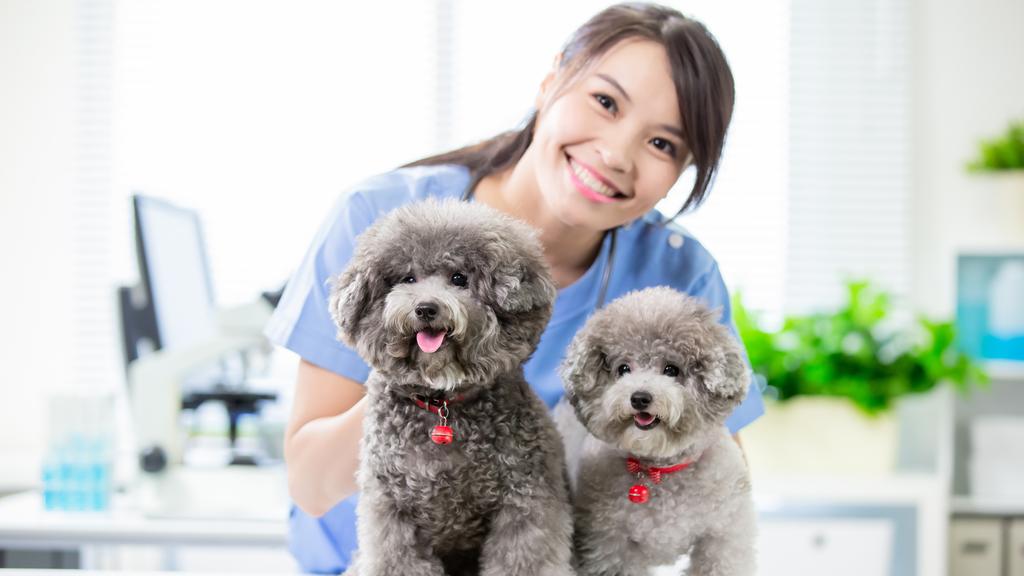 Westerville Veterinary Clinic